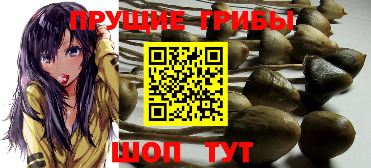 Псилоцибиновые грибы Magic Shrooms  Вход с VPN  Галлюциногенные грибы Psilocybe  Ярославль 