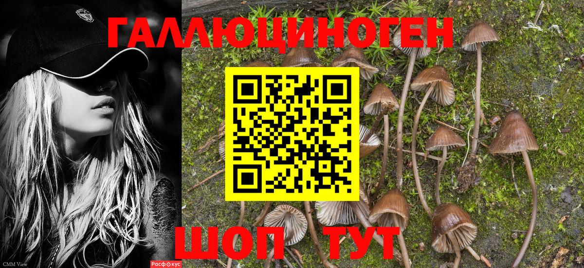 Псилоцибиновые грибы Magic Shrooms Ярославль
